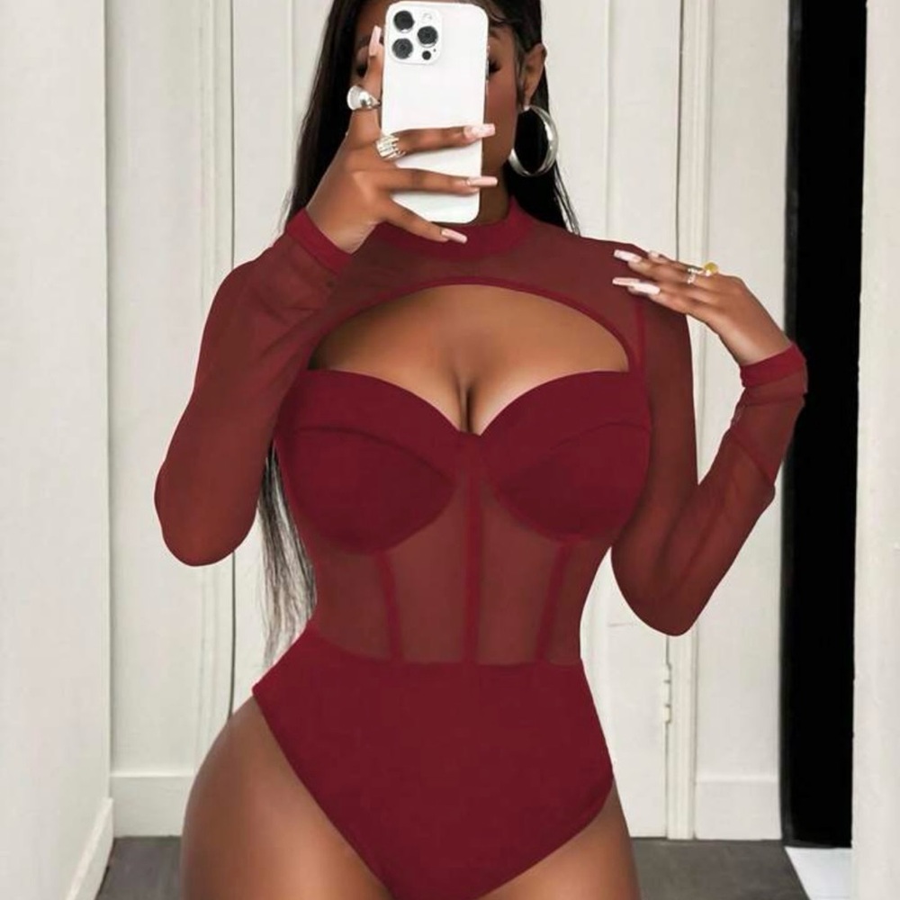 Sheer Mesh Cutout Long-Sleeve Bodysuit in Wine